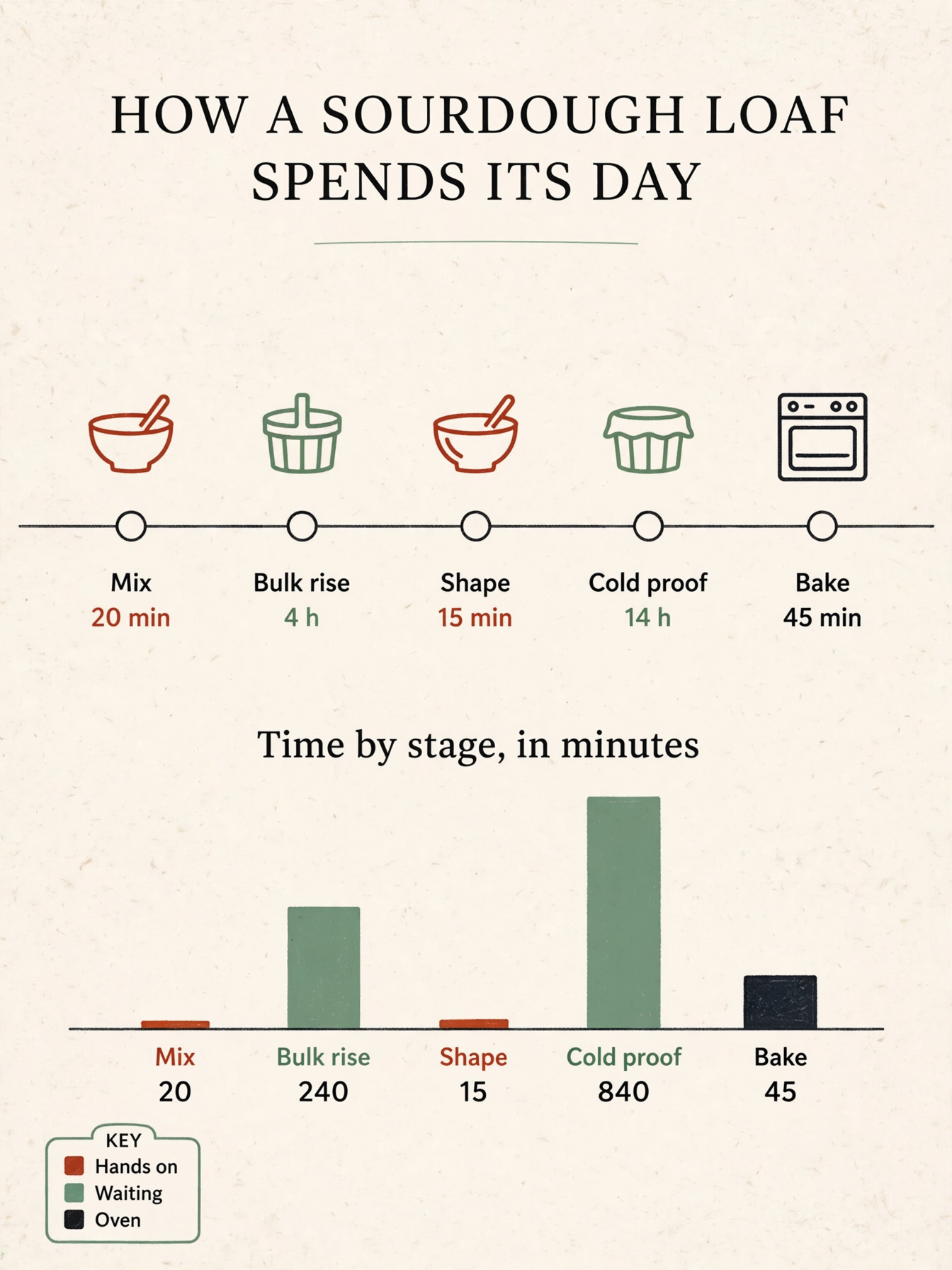 A chart with real numbers: A single page printed infographic titled 'HOW A SOURDOUGH LOAF SPENDS ITS DAY', portrait layout on warm off-white paper. Across the middle runs a horizontal timeline with five labelled stages and their durations, in order 'Mix 20 min', 'Bulk rise 4 h', 'Shape 15 min', 'Cold proof 14 h', 'Bake 45 min'. Below it sits a simple bar chart titled 'Time by stage, in minutes' with five bars whose heights are strictly proportional to the values 20, 240, 15, 840 and 45, so the 840 bar is three and a half times as tall as the 240 bar and the 20 bar is barely visible, each bar labelled with its own number under it. A small key in the lower left carries three colour swatches labelled 'Hands on', 'Waiting', 'Oven'. Flat editorial design in ink black, warm clay red and sage green, thin rules, clear type hierarchy, plenty of whitespace, three simple line icons for a mixing bowl, a proofing basket and an oven. All labels short and legible, spelled exactly as written, every number matching its bar. No other text, no logos, no watermark.
